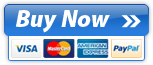 Secure Online Payments and Credit Card Processing by Plimus